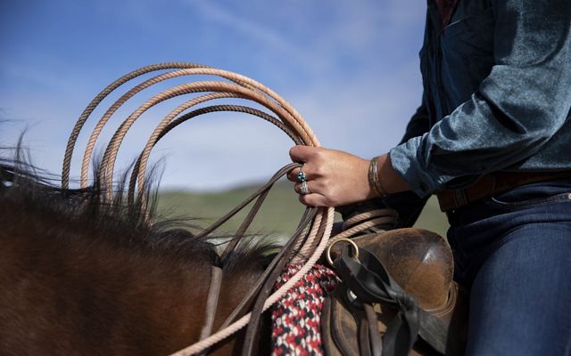 A person on horseback holds a lariat.