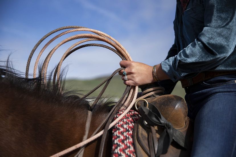 A person on horseback holds a lariat.