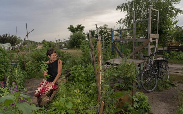 woman wearing black shirt and skirt holds a plant, sits on the ground among many plants with a bicycle nearby