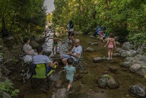 several people sit in lawn chairs in a river under the shade of a tree as kids play in the background