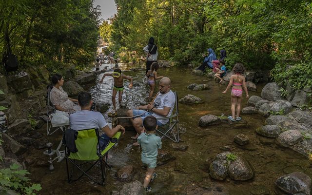 several people sit in lawn chairs in a river under the shade of a tree as kids play in the background
