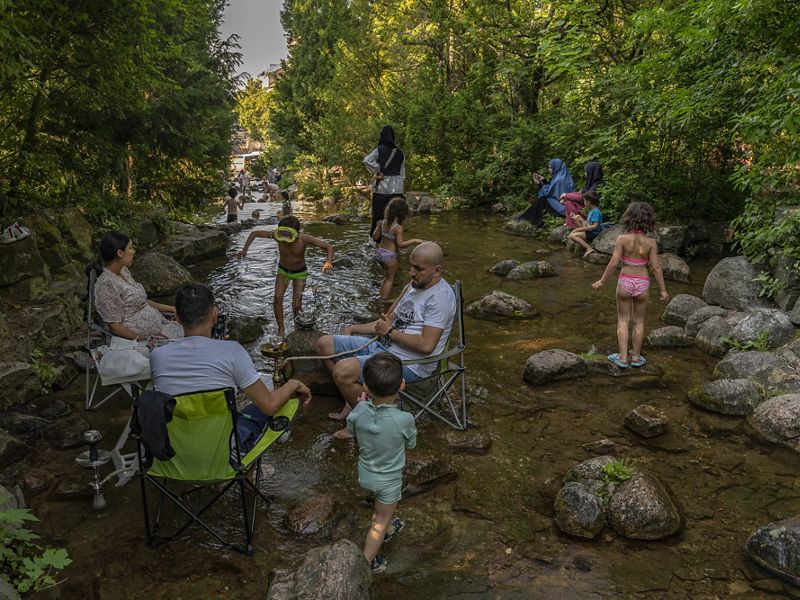 several people sit in lawn chairs in a river under the shade of a tree as kids play in the background