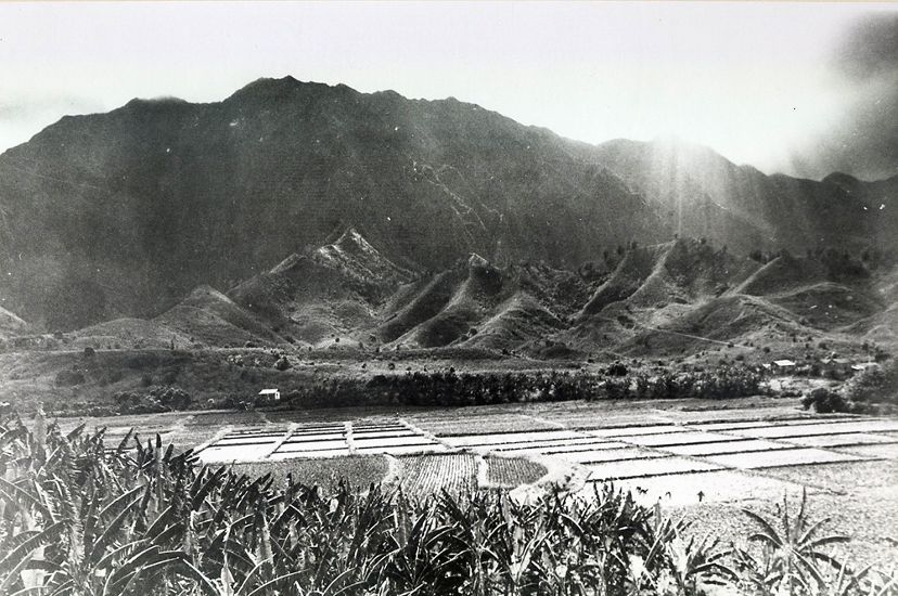 A 1930s photo of He'eia shows agriculture with mountains in the background.