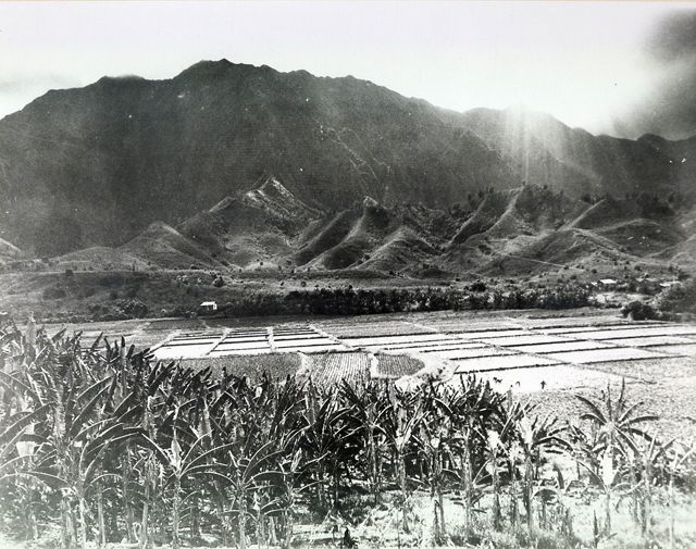 A 1930s photo of He'eia shows agriculture with mountains in the background.