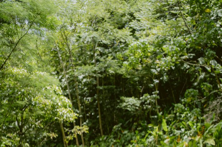Two volunteers relax next to He'eia Stream.