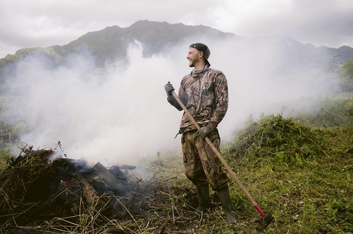 A controlled fire burns to discard invasive plants.