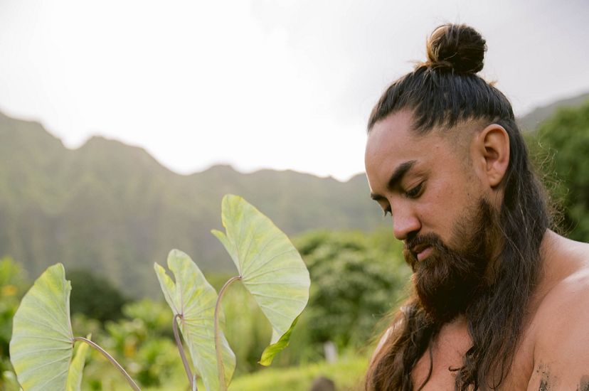 Ka‘imi Johnson holds a taro plant with mountains in the background.