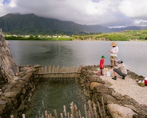 Aerial view over Molokai of rugged mountains and coast.