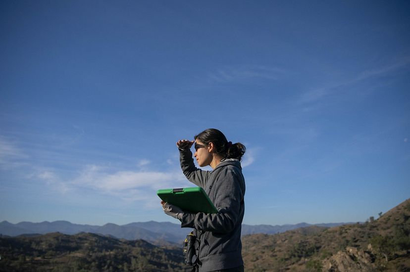 A researcher holding a clipboard looks out over a landscape.