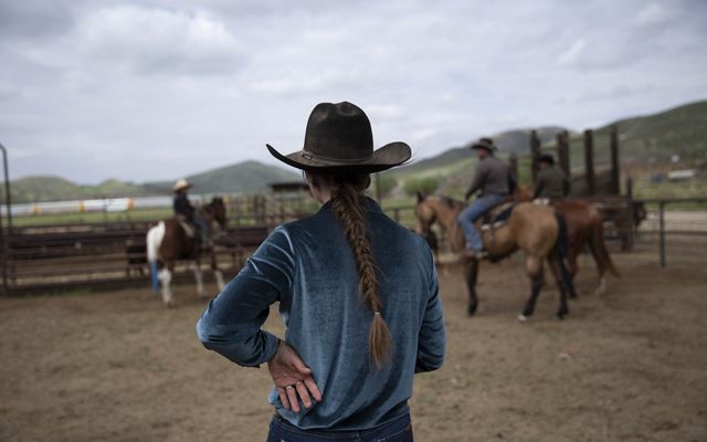 Ranch workers gather cattle.