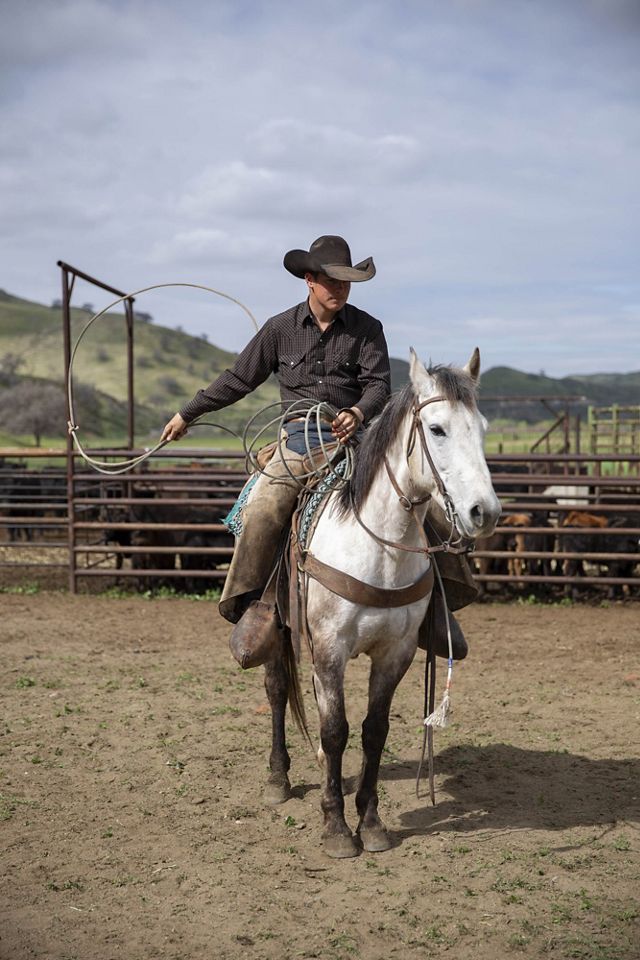 A cowboy on a horse swings a lasso.