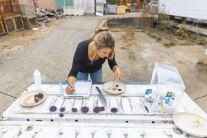 California kelp forest SUM23