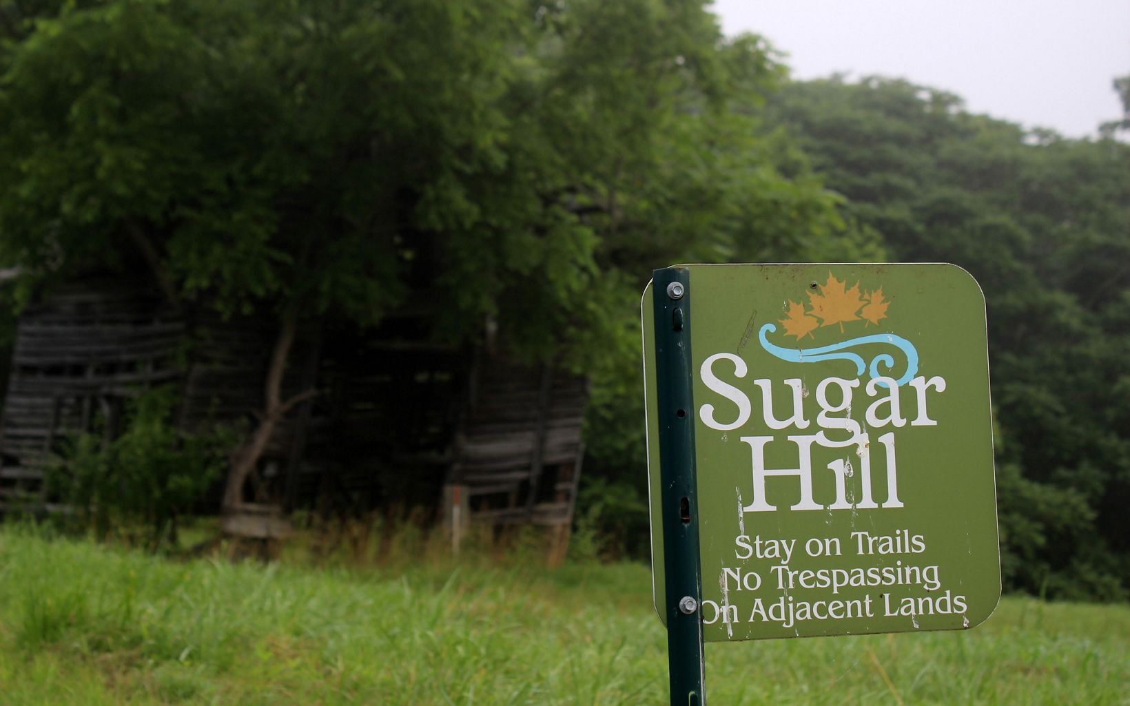 A green metal sign labeled Sugar Hill asks visitors to stay on the trail. The remnants of a cabin are visible in the background under a grove a trees.