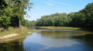 Mossy Point The Nature Conservancy