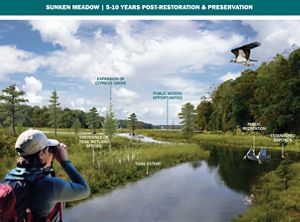 A render showing Sunken Meadow's pond post dam removal.