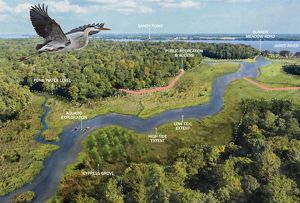 A render of how Sunken Meadow will look like post the dam removal. 