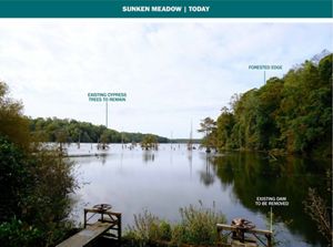 An overlook of Sunken Meadow's pond.