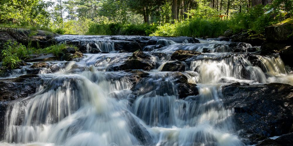 Water cascades over rocks in a stream in a forest.