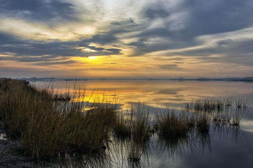 Sunrise over a tidal marsh. The orange sun is obscured behind a low cover of clouds. The light is reflected on the wide calm surface of the water. Tall marsh grass dominates the foreground.