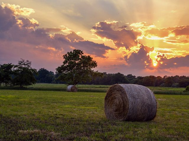 The sun rises over an Illinois farm field.