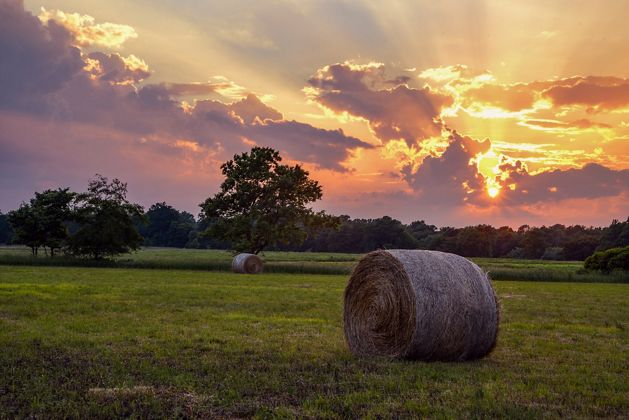 Sunlight streams through clouds as the sun rises over an Illinois farm; a large rolled-up hay bale is in the foreground.