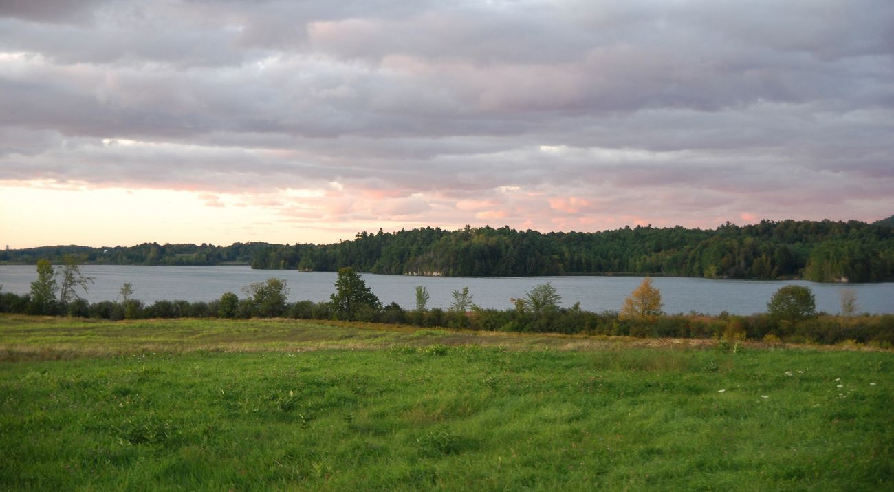 A pond with grass on the near bank and trees on the far one.