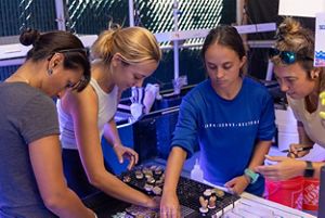 Four people work with coral samples in a lab.