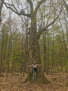 A woman standing in front of a large tree in the woods with her arms outstretched.
