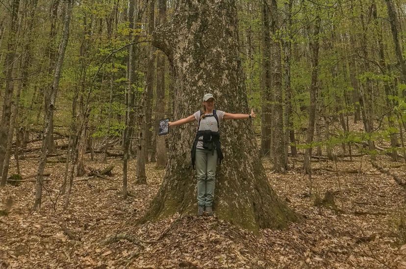 A woman stands at the base of a big tree, extending her arms. Her wingspan is just about the diameter of the tree. Smaller trees with bright green foliage surround the area.