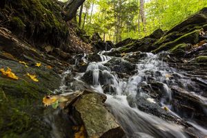 A waterfull running down rocks in a forest.