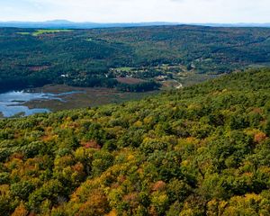 A forest of trees just beginning to change color on a hill overlooking a lake with more forest and mountains in the background.