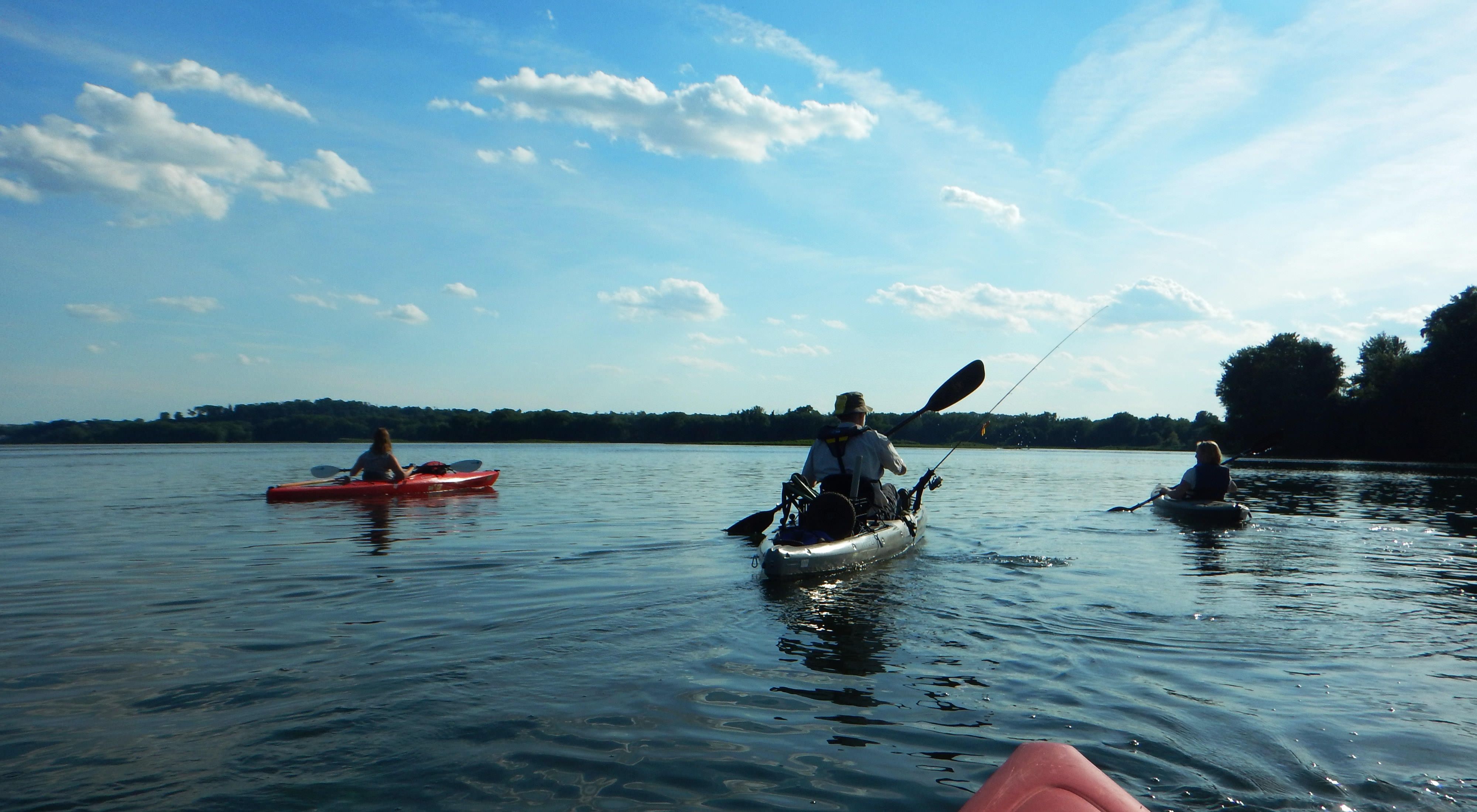 Three people kayak along the Susquehanna River. The wide, calm river bends off into the distance to the right curving behind a stand of trees. A fishing pole is attached to the center kayak.