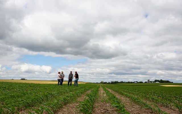 Four people stand in an agricultural field of rows of crops, with an expansive sky filled with puffy white clouds above.