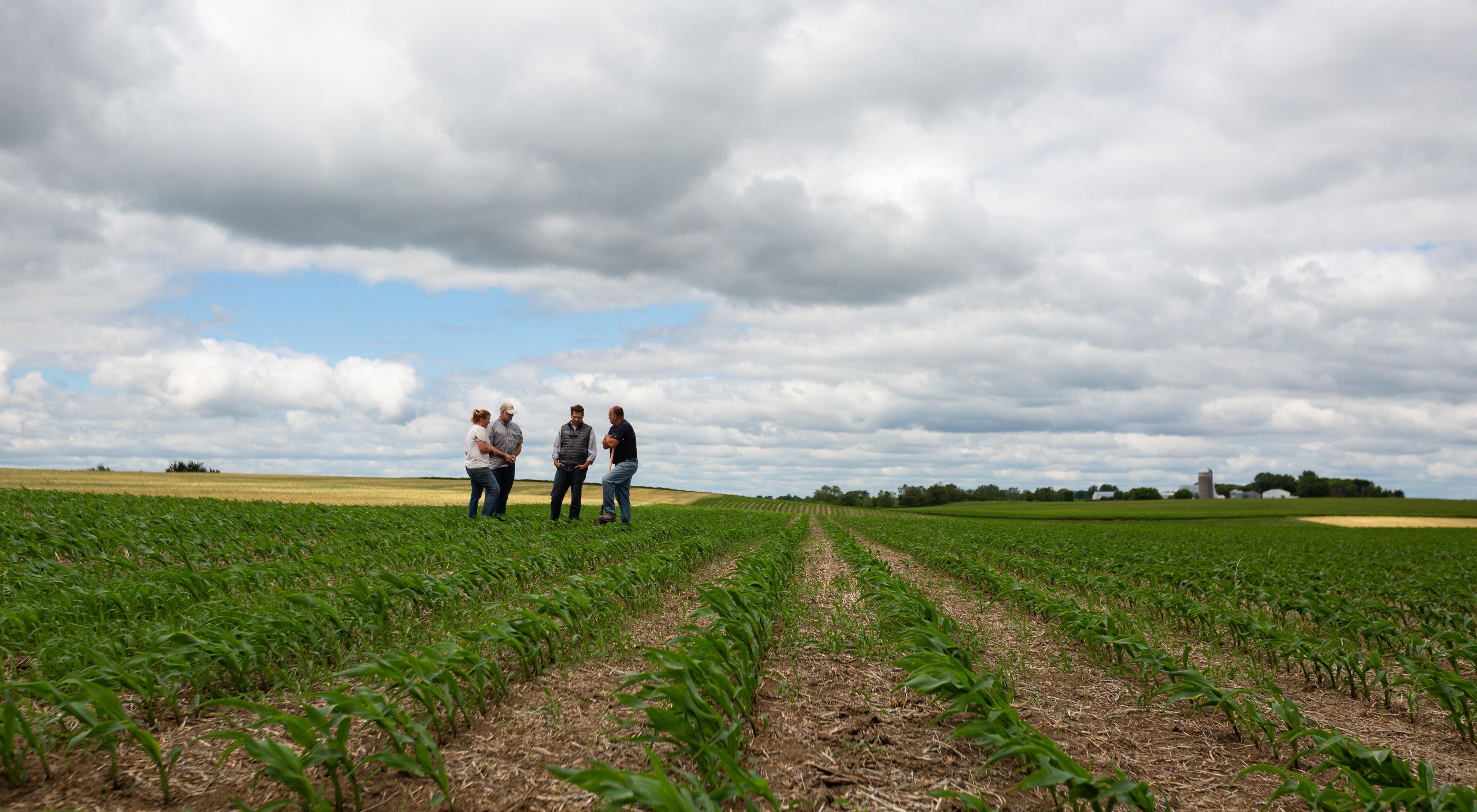 Conservation partners standing in a no-till farm field in Stearns County, Minnesota.