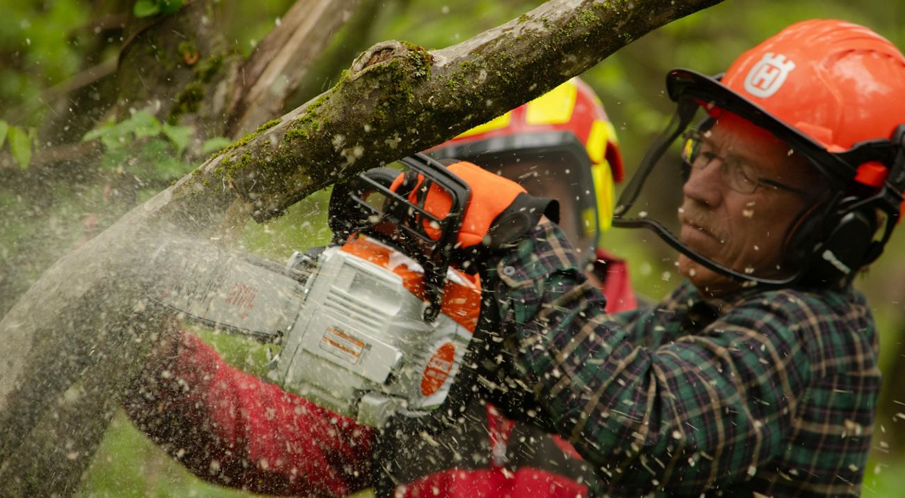 A person wearing an orange helmet uses a chainsaw to cut a tree branch.