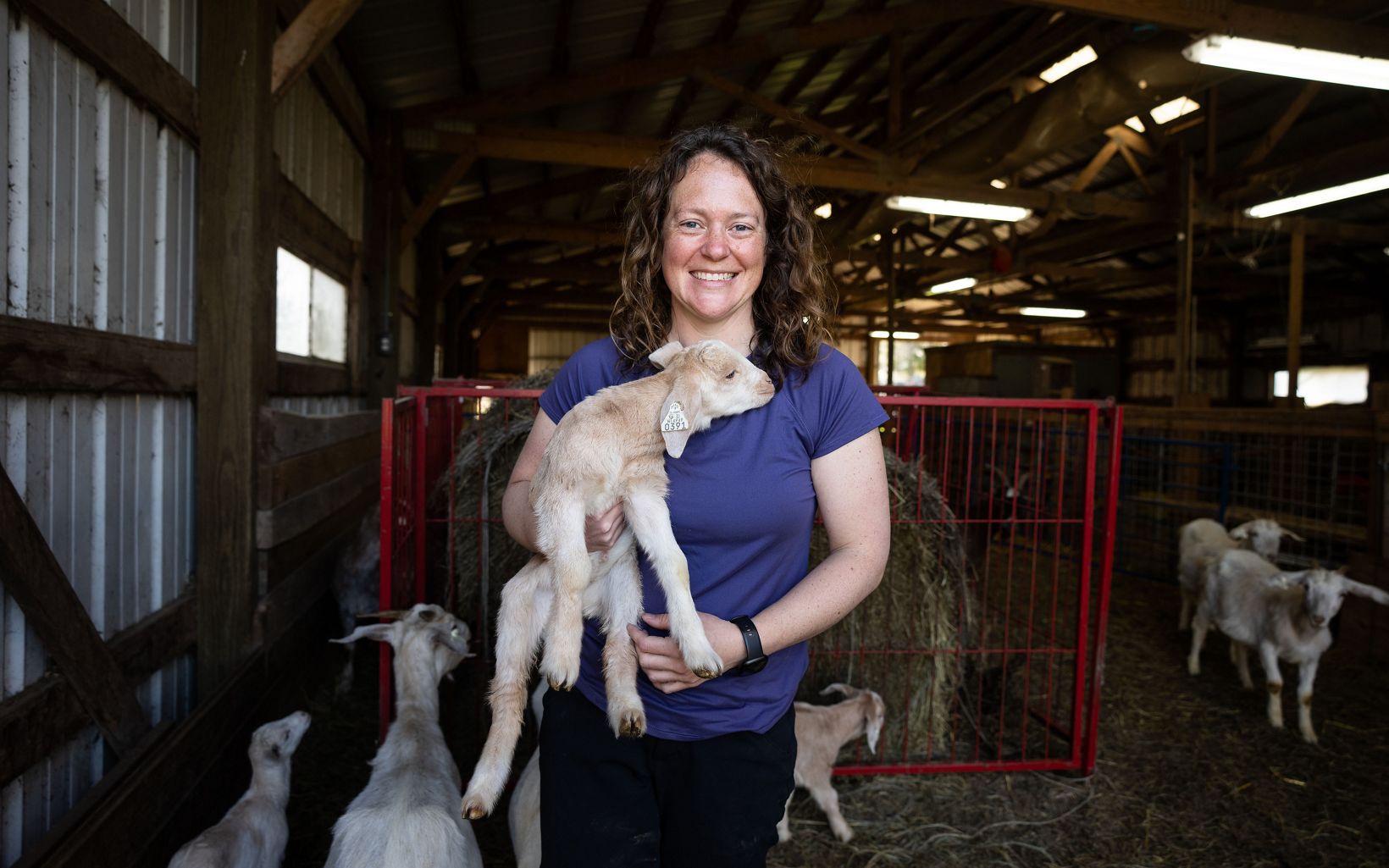 Portrait of Leslie Svacina holding a baby goat and standing in a barn with several other goats walking around her.