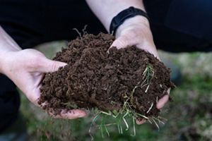 Closeup of two hands holding a clump of dirt, with grasses dangling from the bottom.