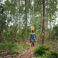 women walking through forest