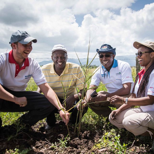 TNC staffers (l-r) Ed Hewitt, Kevin Juma, Felix Kamau and Damaris Kilaka joined a team planting 2,000 tree seedlings in South Kinangop, Kenya. 

