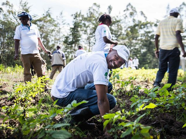 Man kneeling down planting a seedling.