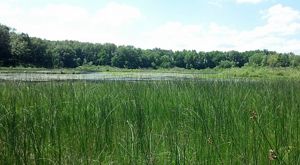 Swamp Angel in Noble County.