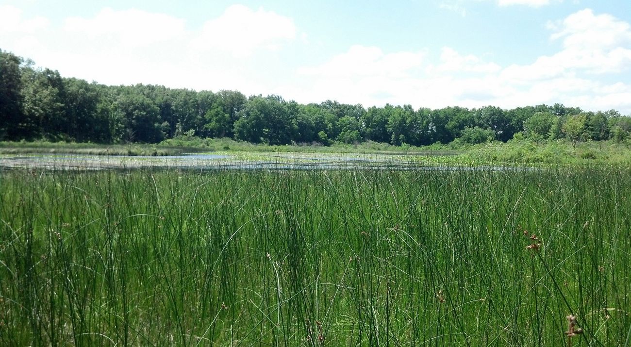 Swamp Angel in Noble County.