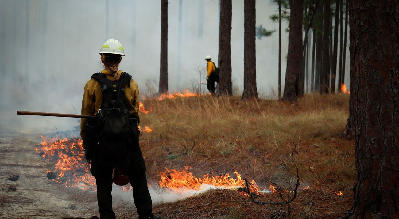 TNC staff dressed in fire-protective gear stand near flames at the edge of a forest at a controlled burn.