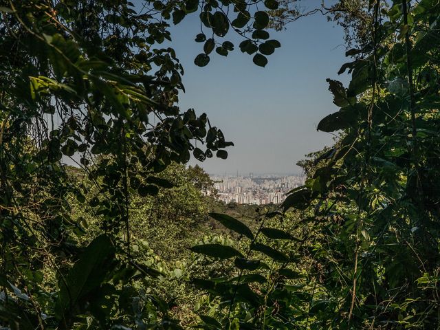 Cantareira State Park, São Paulo, Brazil: 09/22/2018: The park keeps parts of what is left of the Atlantic forest in the metropolitan region of São Paulo. From the high part, it is possible to observe the curtain of pollution that hangs over the city of São Paulo, one of the most populous in the world.