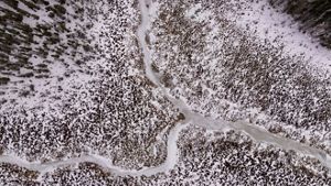 An aerial view looking directly down at a frozen river running through a snow-blanketed forest in winter.