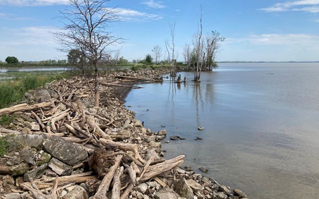 A view of the naturalized shoreline along Raccoon Creek in Sandusky Bay, showing driftwood and rocks arching around the shore.