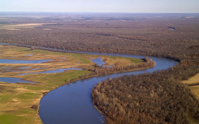 A river bends through forest and delta grass lands in Arkansas.