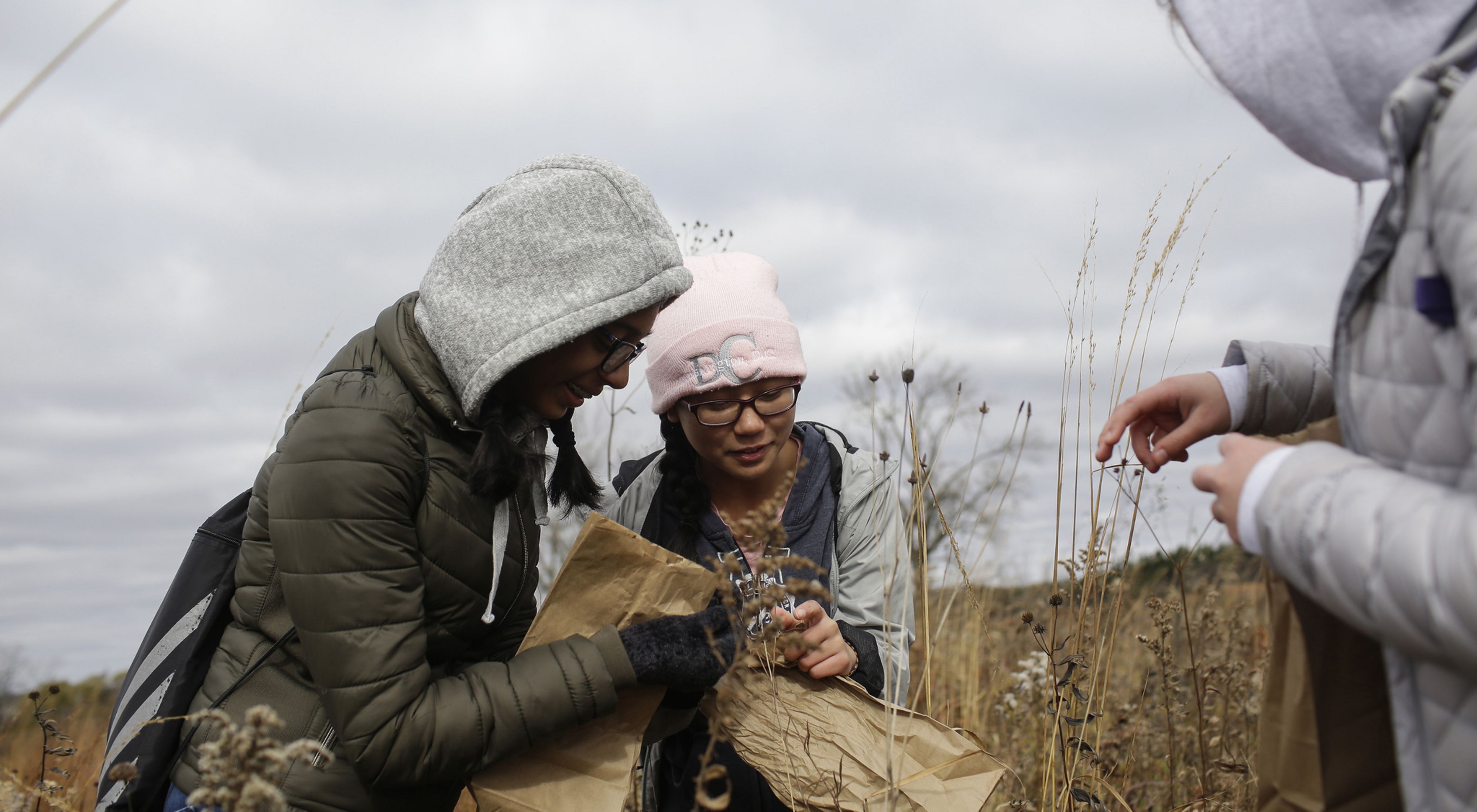 Three volunteers examine and collect seeds in a grassland.