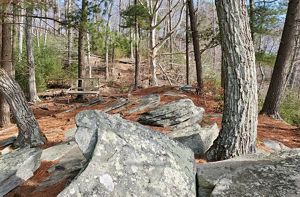 Selden Creek Preserve