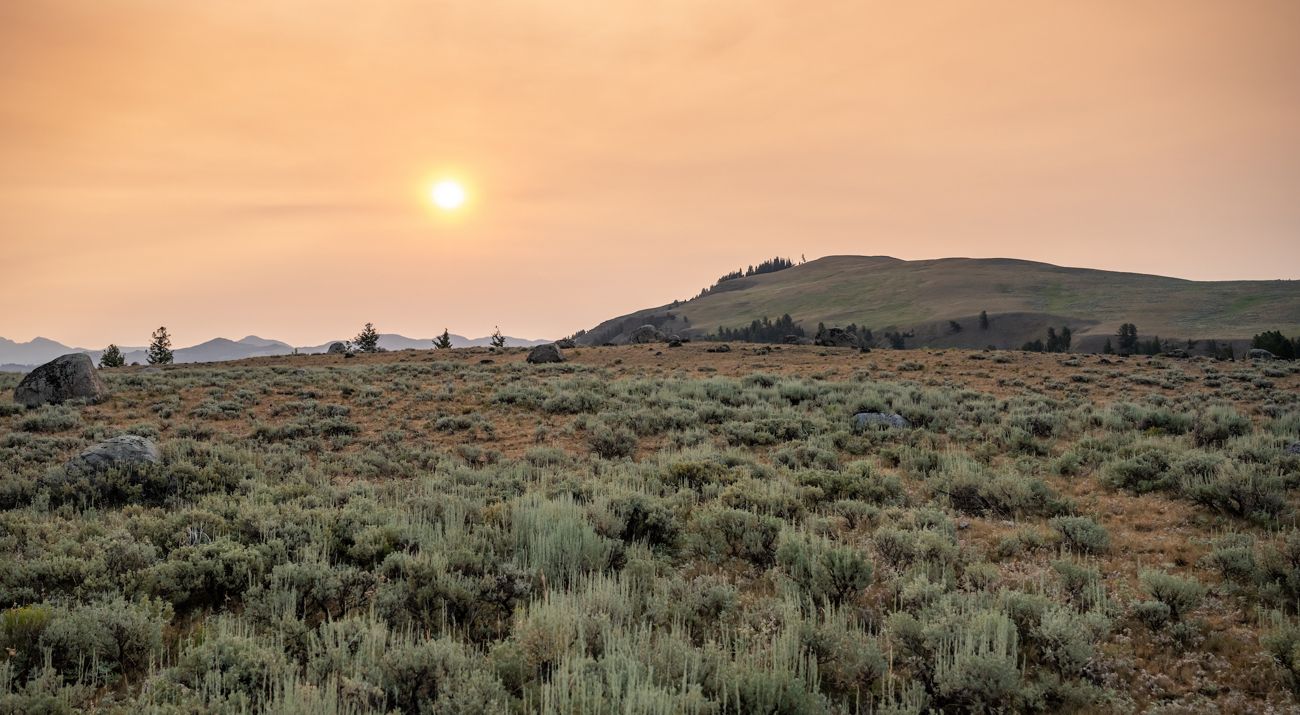 Sagebrush landscape with a smokey sky.